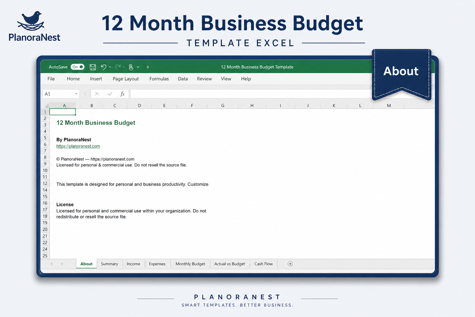 12 month business budget template — About sheet