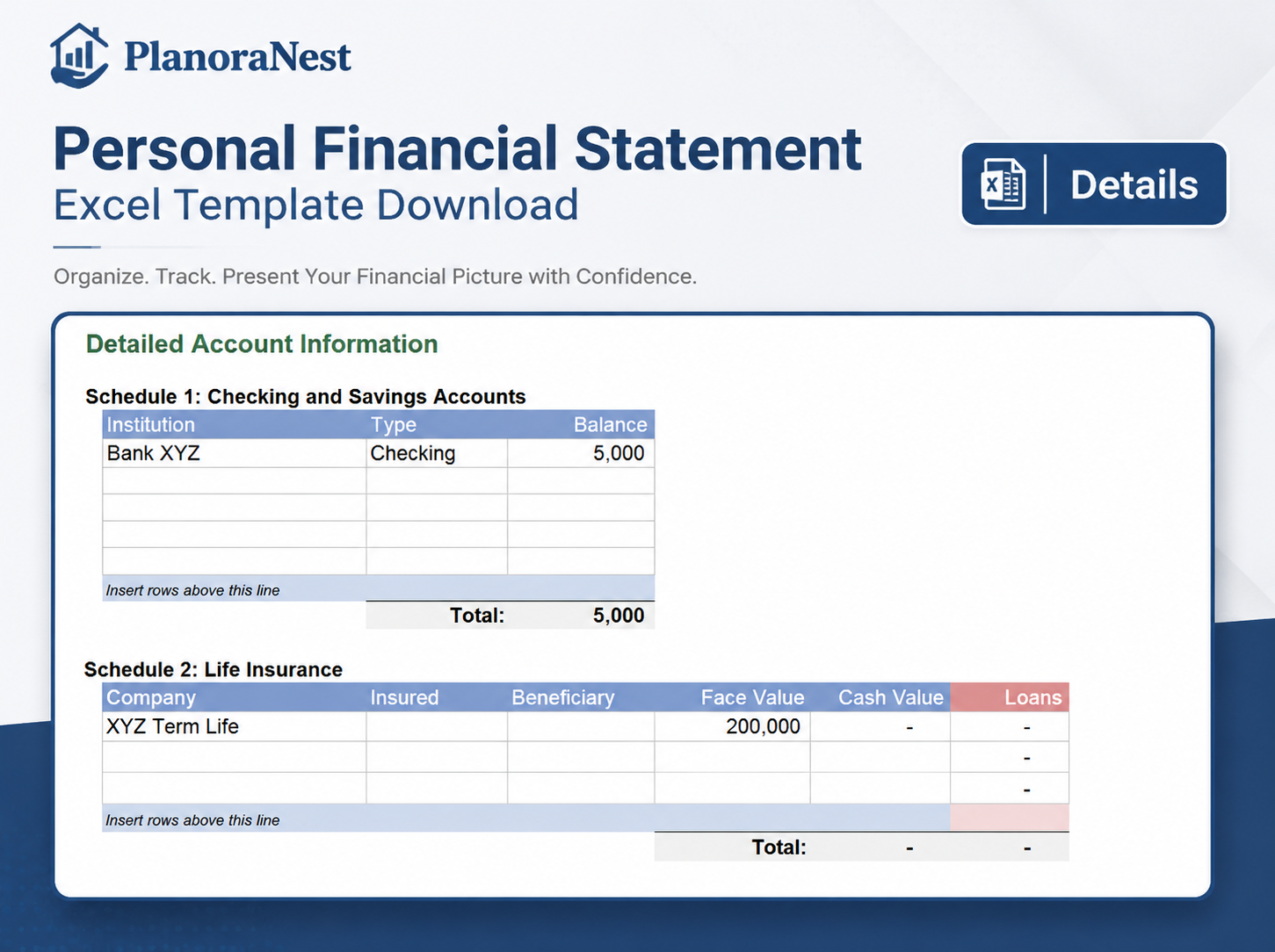personal financial statement excel template screenshot — PlanoraNest Excel template