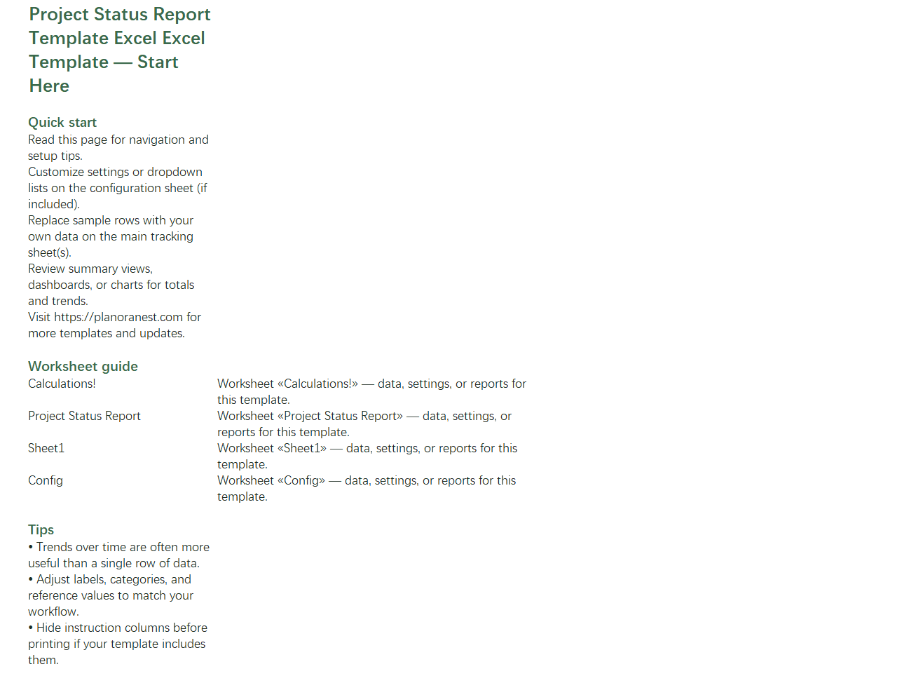 excel project status report template excel template start here screenshot — PlanoraNest Excel template