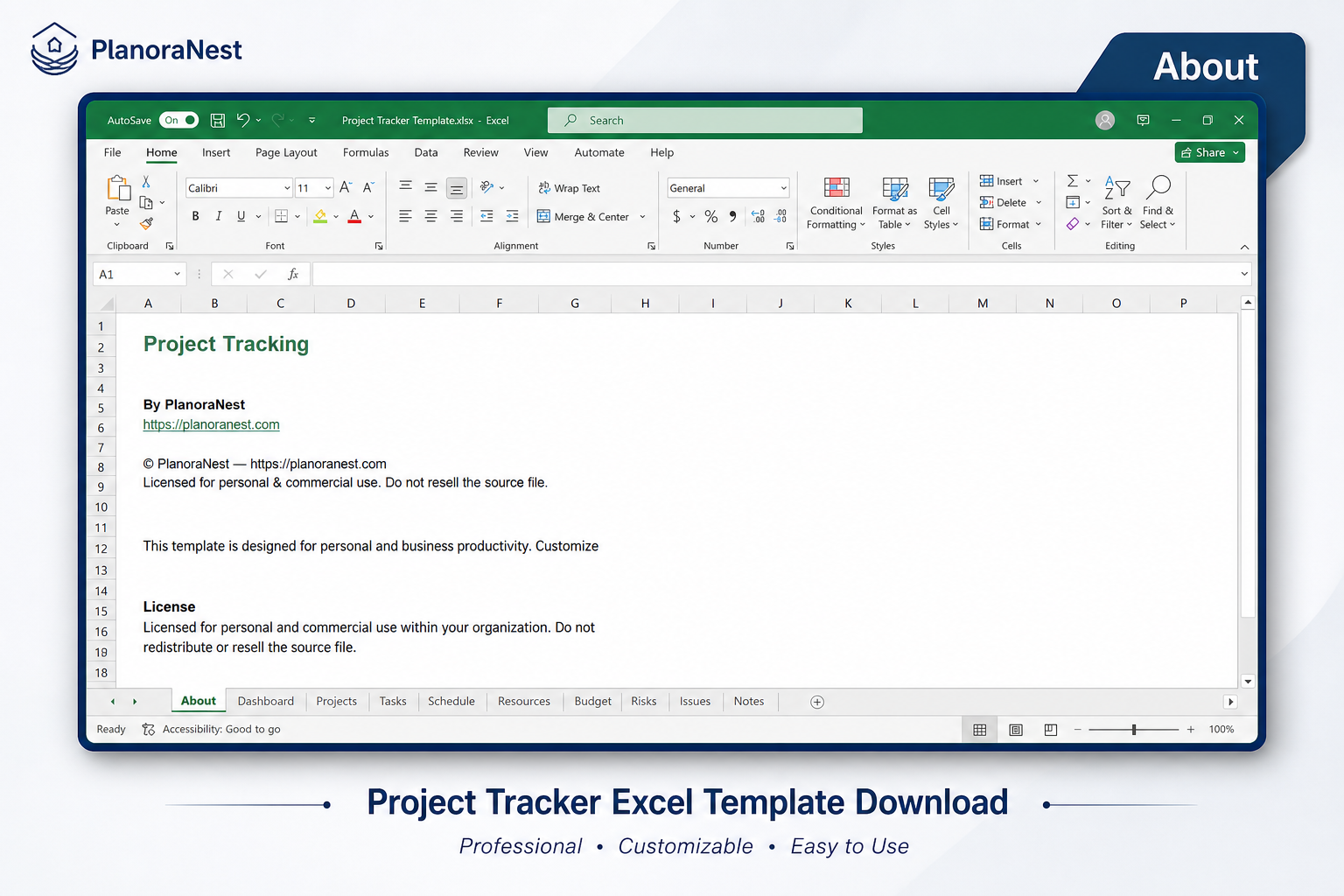 project budget tracker excel template screenshot — PlanoraNest Excel template